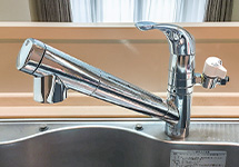 拡大写真：水栓タイプがハンドシャワータイプ、キッチンシャワータイプ、浄水器内蔵タイプの場合